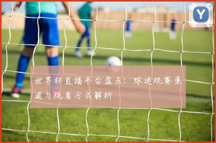 世界杯直播平台盘点：球迷观赛渠道与观看方式解析